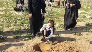 14-    ۹۰ اصله نهال در روستای دشت بزرگ گتوند کاشته شد